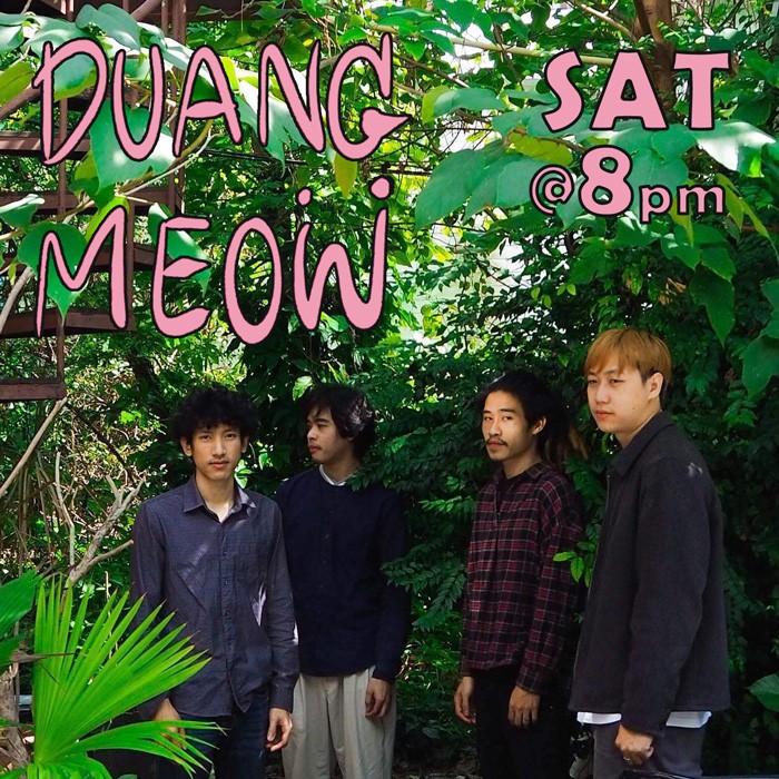 Duang Meow March 19