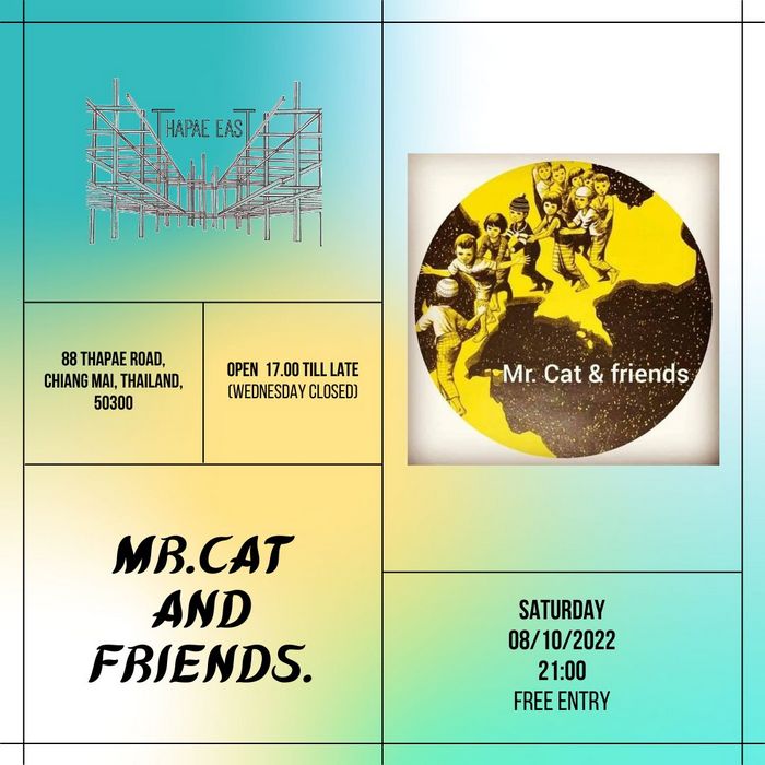 Mr Cat and Friends 8-10-22