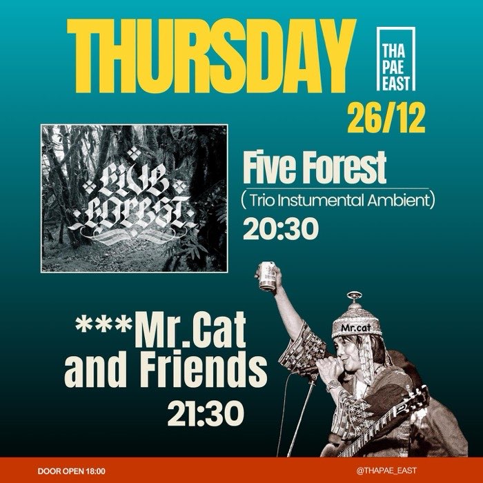 Thursday Dec 26 Five Forest play ambient instrumental at 20h30 then Mr Cat and Friends play original music at 21h30