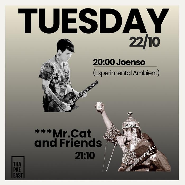 Tuesday Oct 22 Joe Enso experimental ambient at 20h then Mr Cat and Friends at 21h10